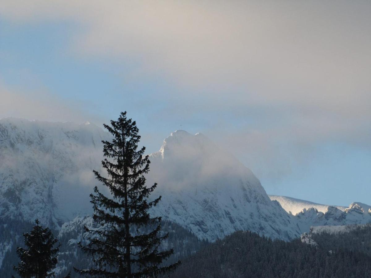Domek Na Zaciszu Zakopane Esterno foto